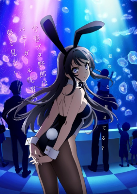 Seishun Buta Yarou wa Bunny Girl Senpai no Yume wo Minai الحلقة 13 والاخيرة